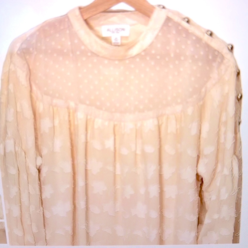 Pretty Poet Blouse
